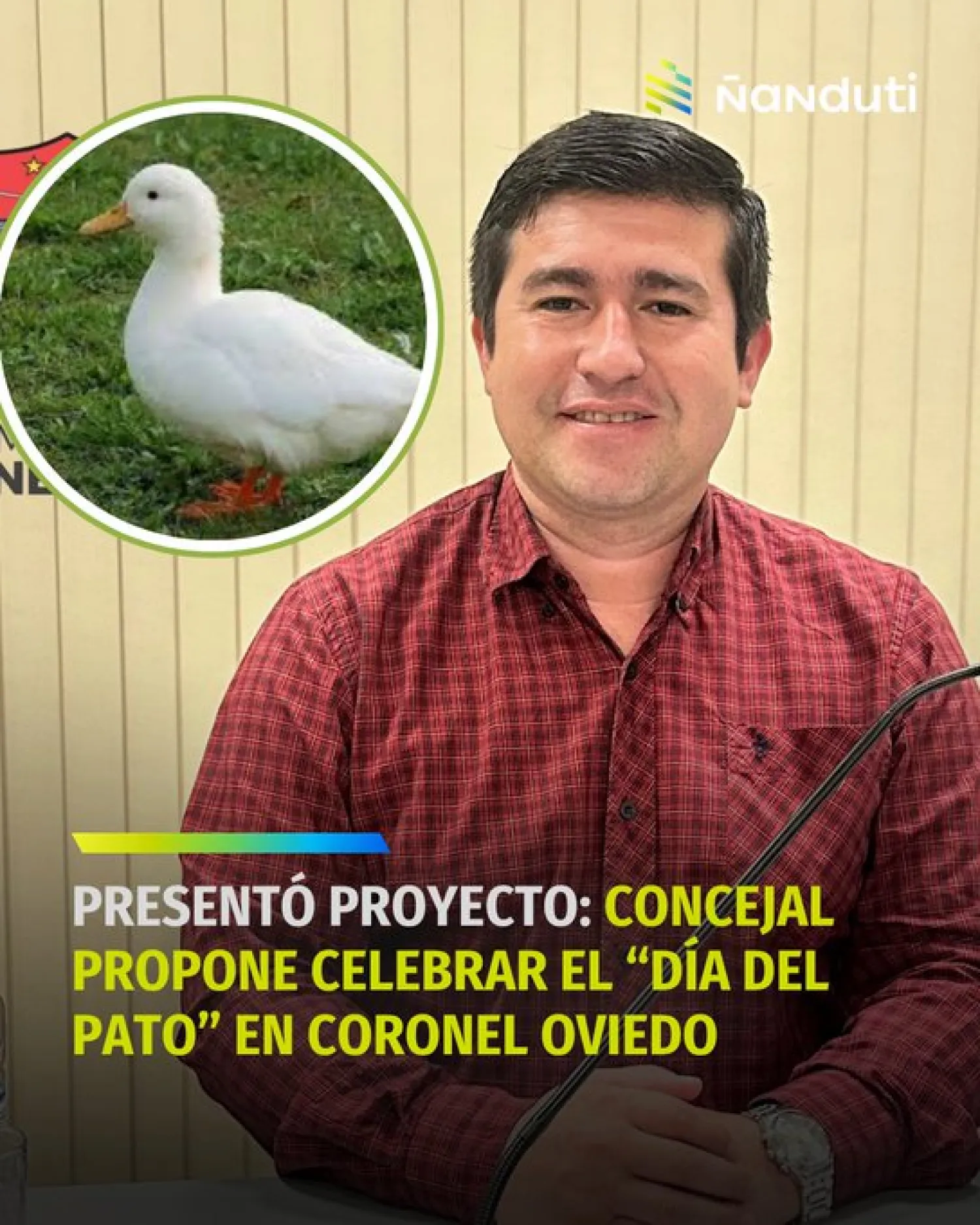 Concejal propone celebrar el Día del Pato en Coronel Oviedo