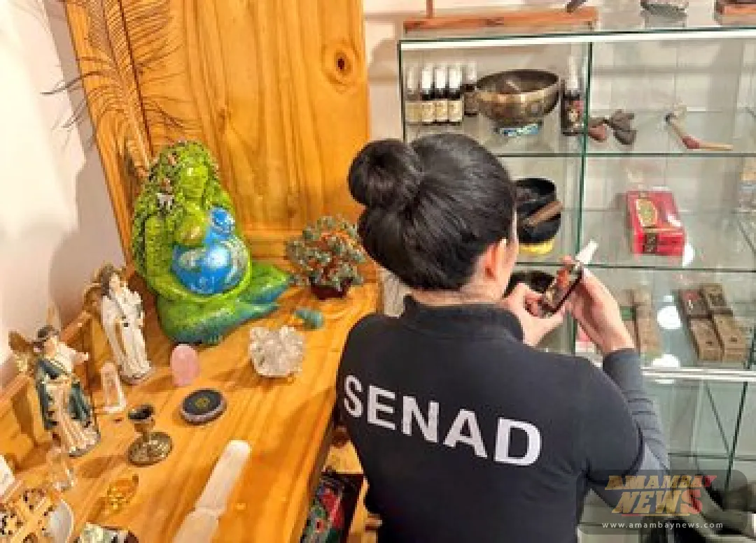 Allanan vivienda en Paraguarí e incautan supuesta Ayahuasca