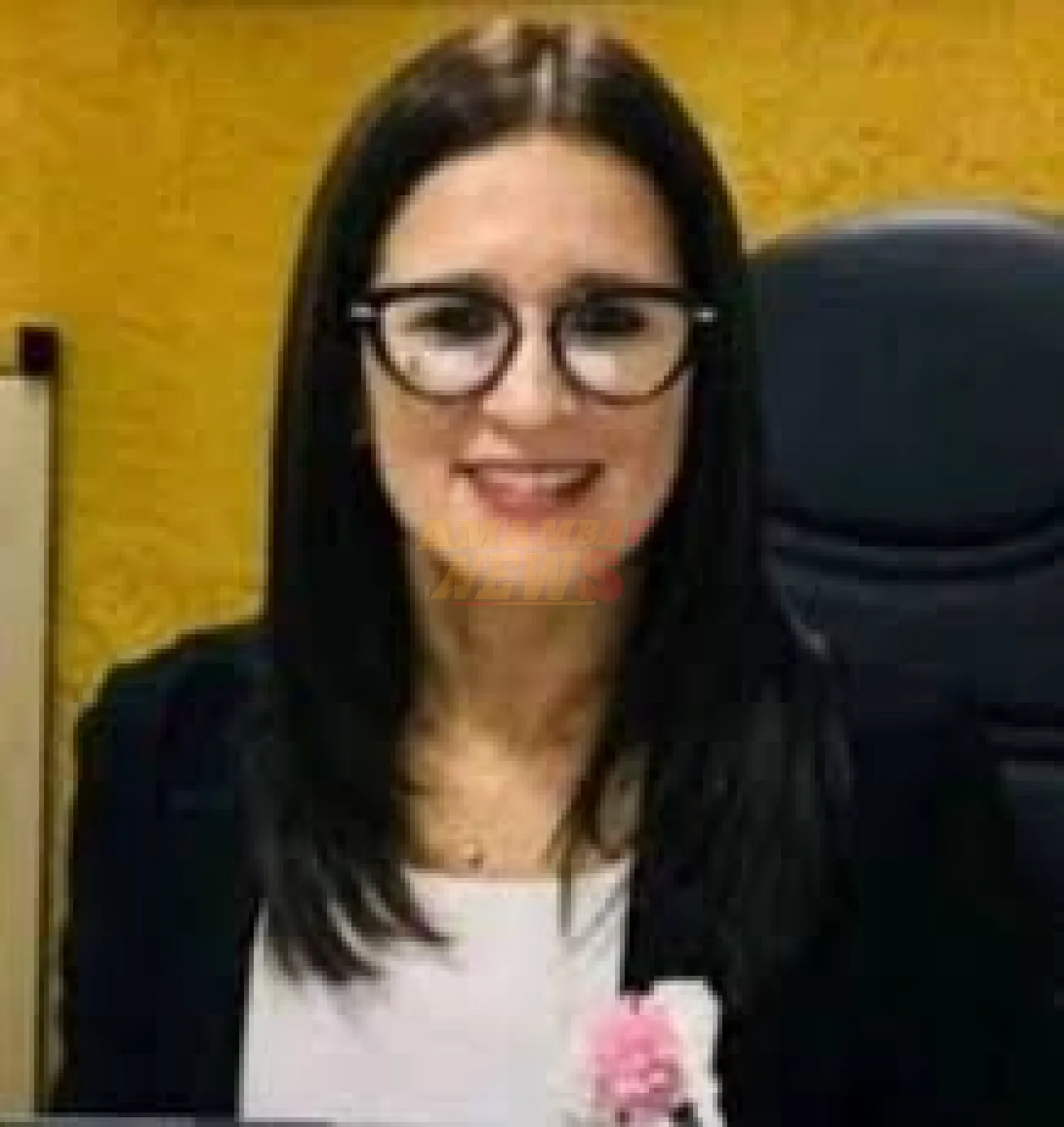 Fiscal acusador solicitó al JEM la destitución de la juez de ejecución Rosana Rojas