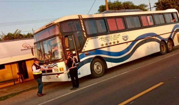 Se reinicia el servicio de transporte dentro del territorio