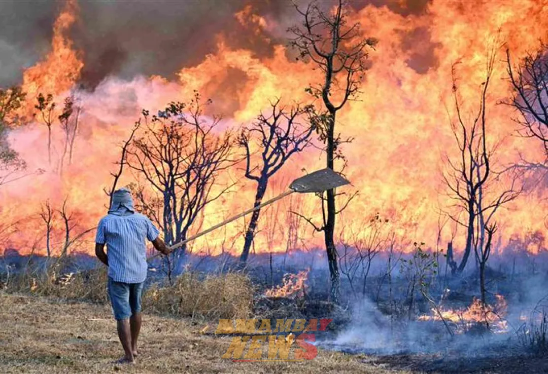 Sequía e incendios fuera de serie preocupan al sector agrícola en Brasil