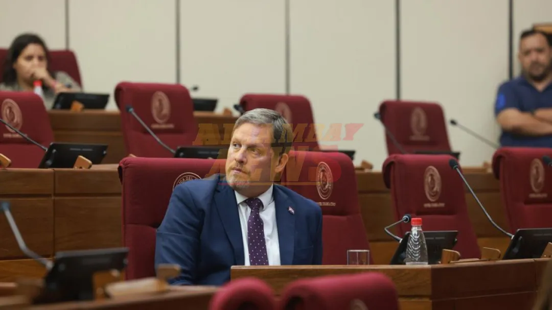 Senador cartista sobre marcha de la oposición: “No pueden esbozar un solo objetivo claro”