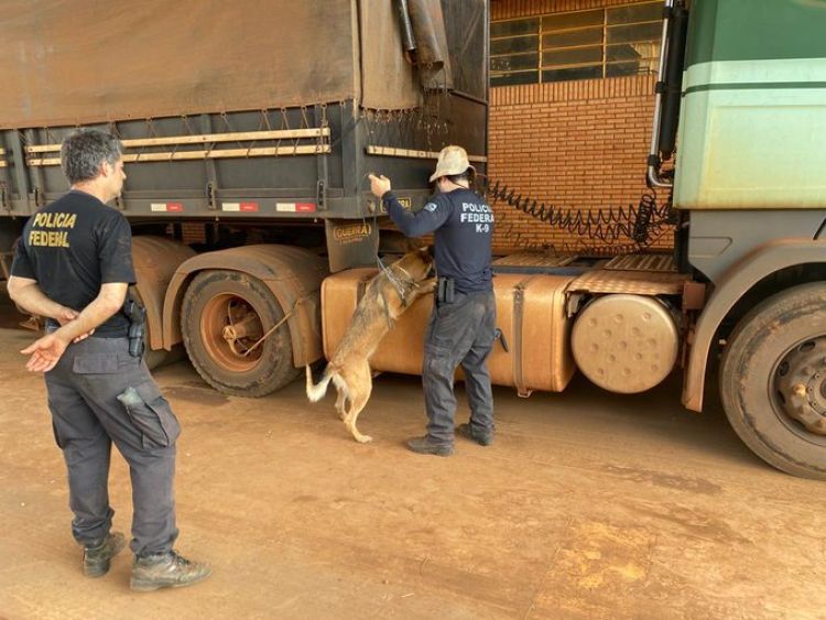 Senad y Antinarcóticos “duermen” mientras en Brasil fortalecen acciones contra el narcotráfico