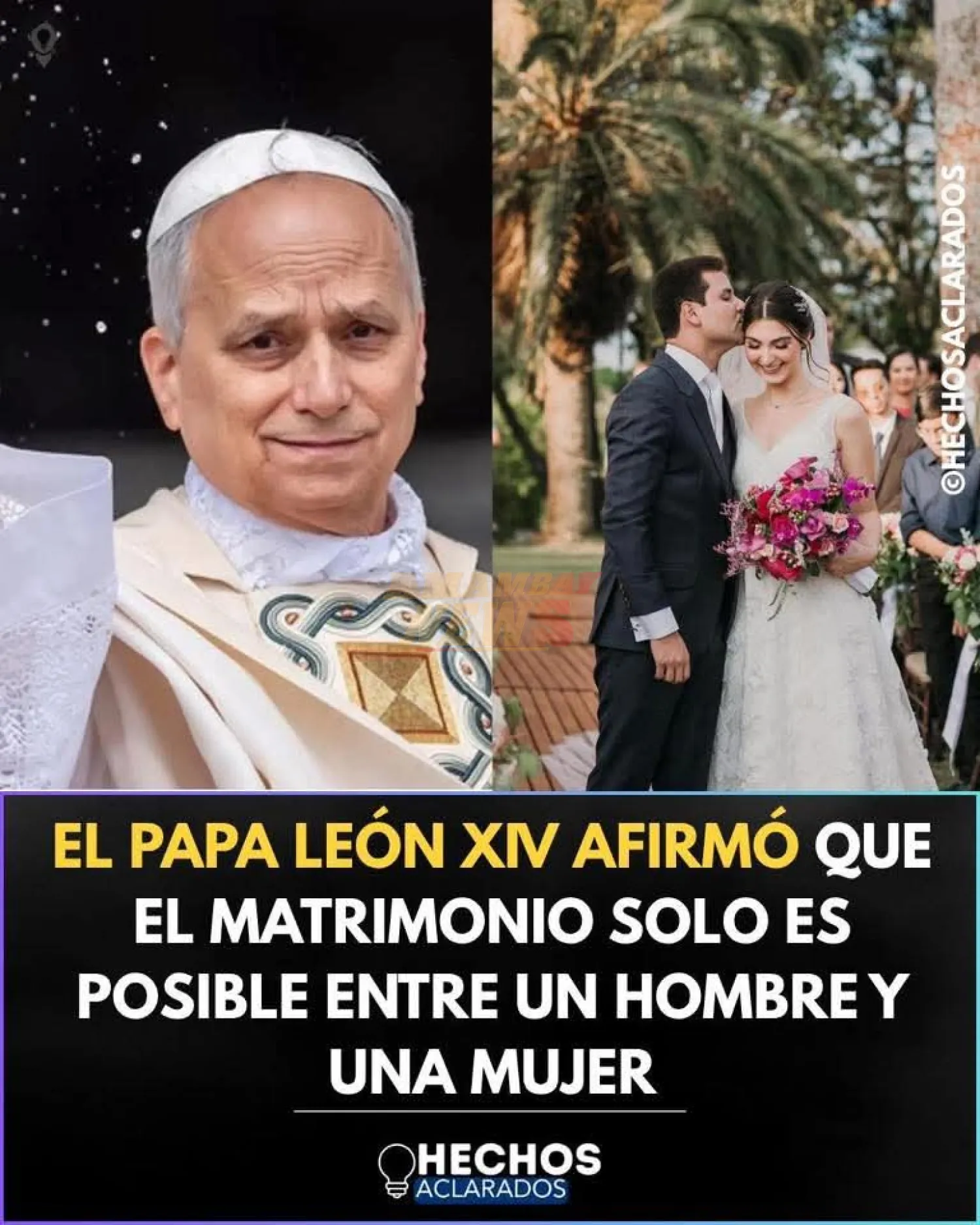 Papa León XIV: El matrimonio solo es posible entre un hombre y una mujer