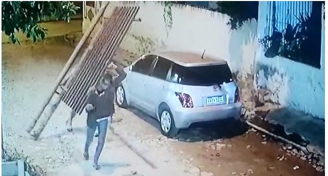 Roban rejas del Jardín Botánico
