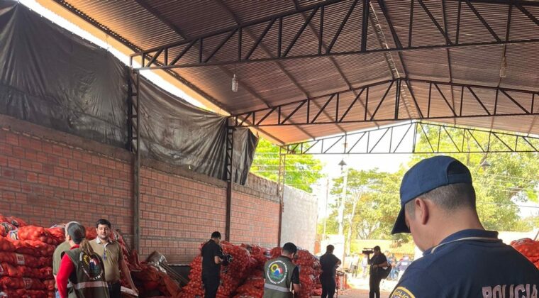 Incautan más de 38 mil kilos de cebollas argentinas ingresadas de contrabando