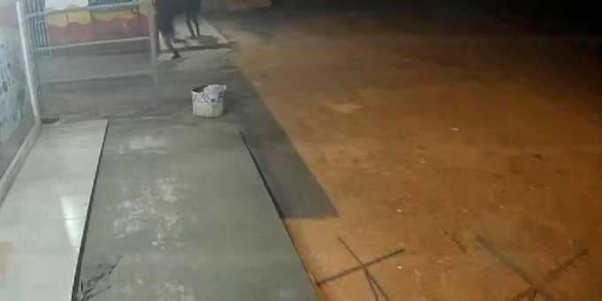 Ladrones primerizos matan a un hombre en intento de asalto y no se llevan nada