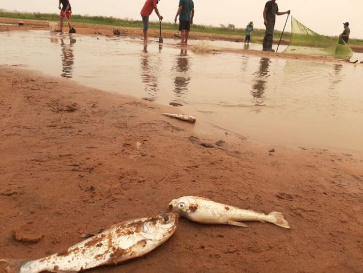 El río Paraguay está a ocho centímetros del nivel más bajo de la historia