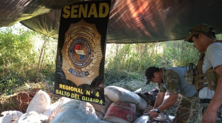 Senad confisca más de una tonelada de marihuana en Canindeyú