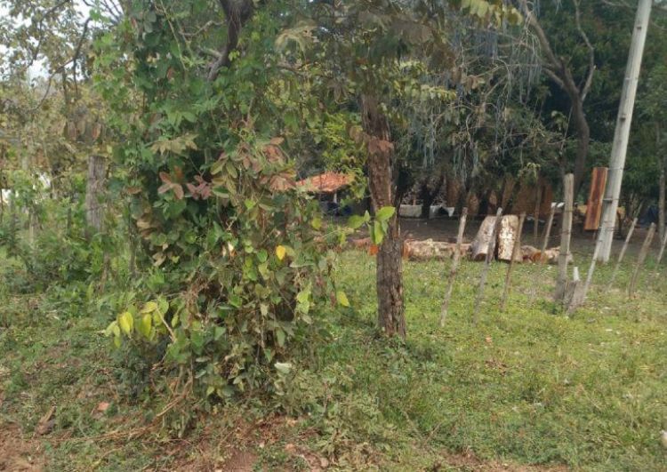 Abandonan un supuesto cráneo humano en Tobatí