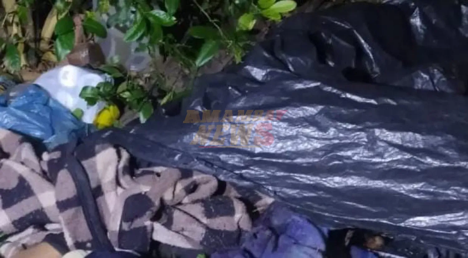 Hallan cadáver de una mujer en Bella Vista Norte