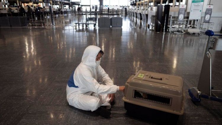 EEUU prohíbe entrada de perros de más de 100 países