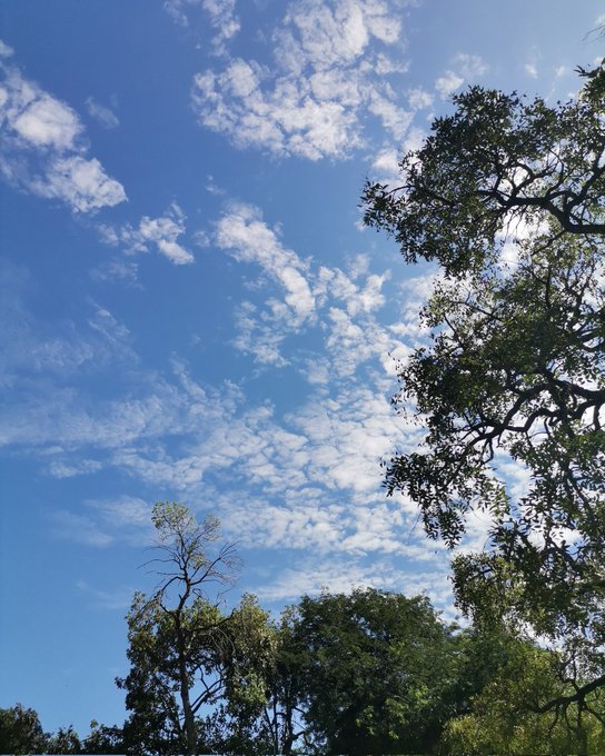 Prevén aumento gradual de la temperatura a partir de hoy