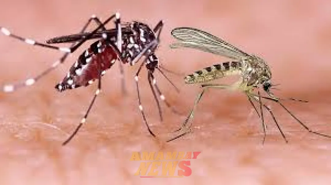 Crecen casos de dengue e intensifican vigilancia contra el oropouche
