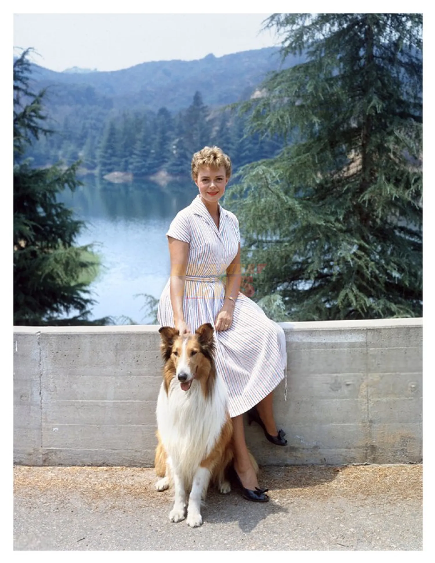 Muere a los 100 años icónica actriz de la serie Lassie