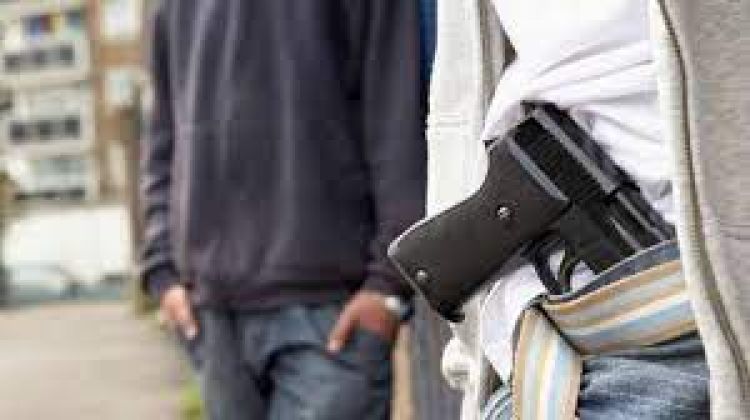 Inseguridad: Piden rechazar proyecto que permitiría la libre portación de armas