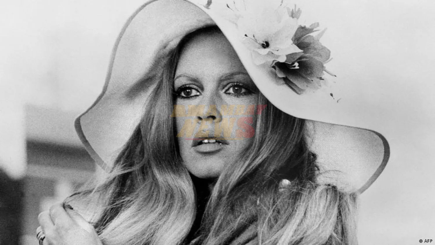 Muere a los 91 años la actriz y activista Brigitte Bardot