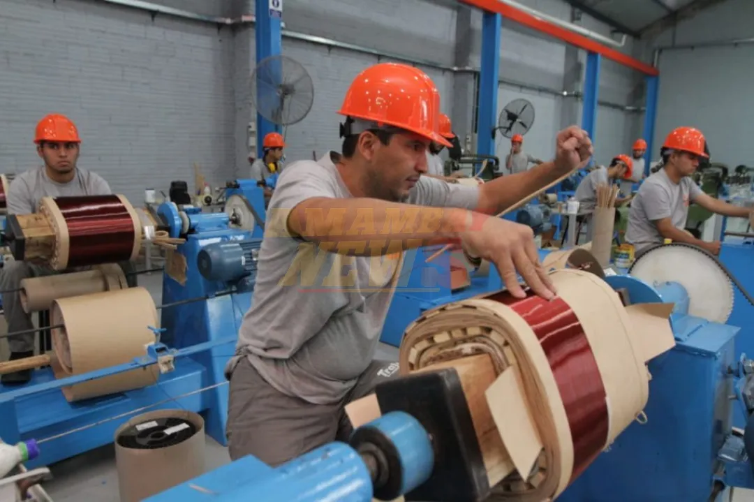 Día de la Industria Nacional: cerca de 30.000 fábricas impulsan el desarrollo económico del país