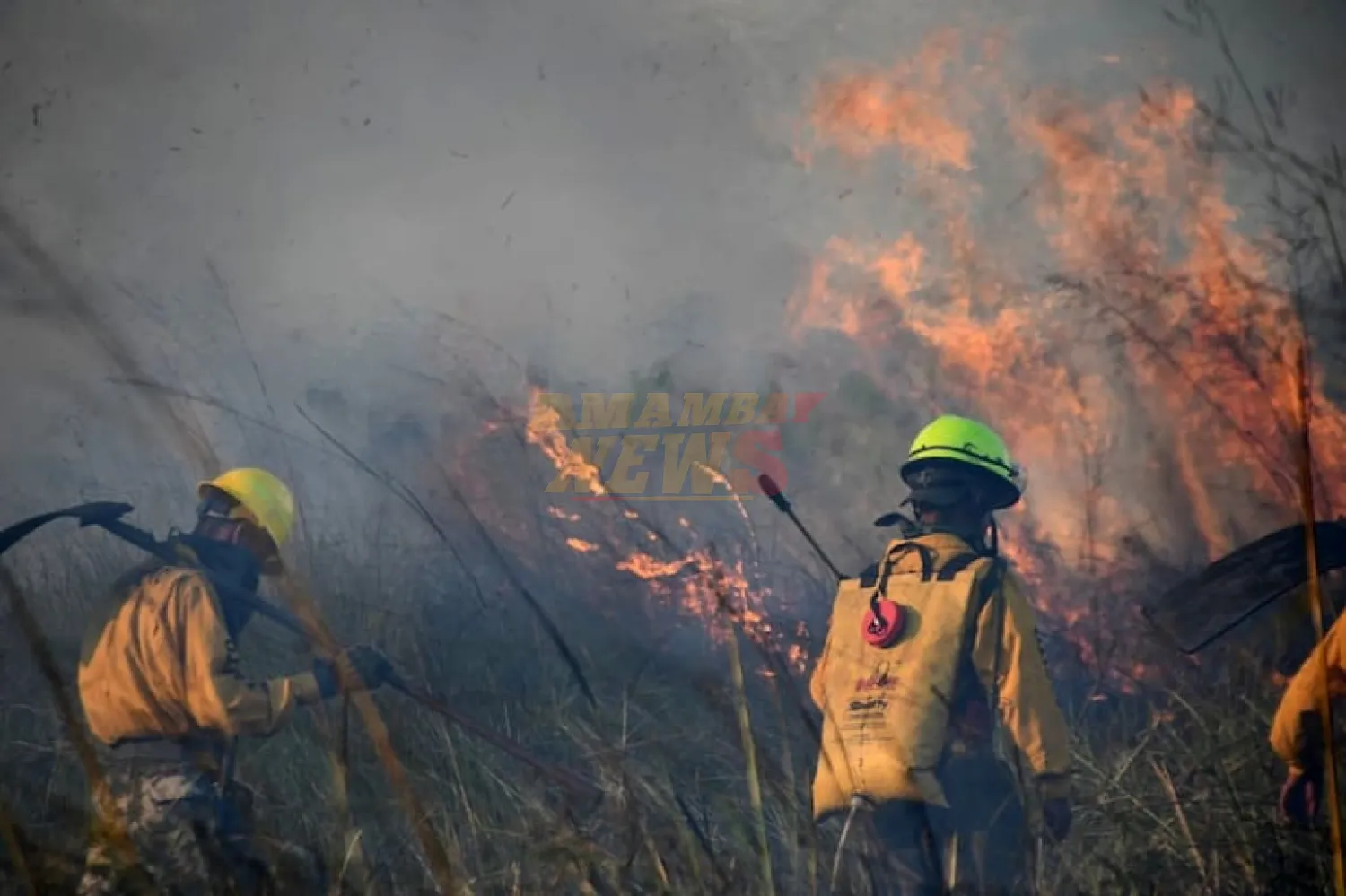 Bomberos buscan sumar voluntarios a sus filas