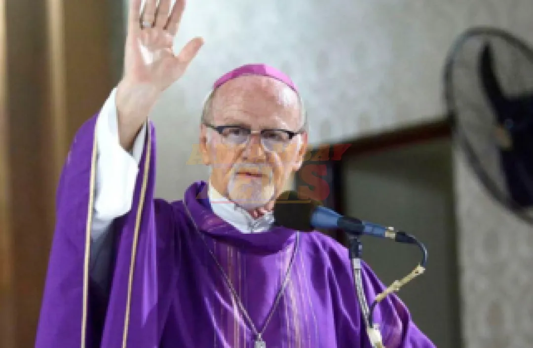 El nuevo cardenal argentino Bokalic: Hay intereses a los que molesta lo que dice el papa