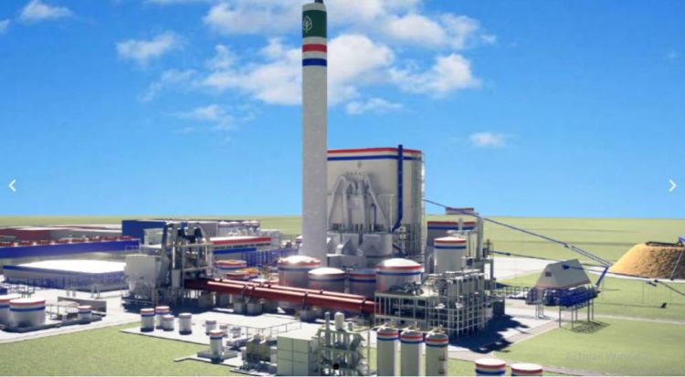 Autorizan concesión y explotación de zona franca para megaproyecto de celulosa en Concepción