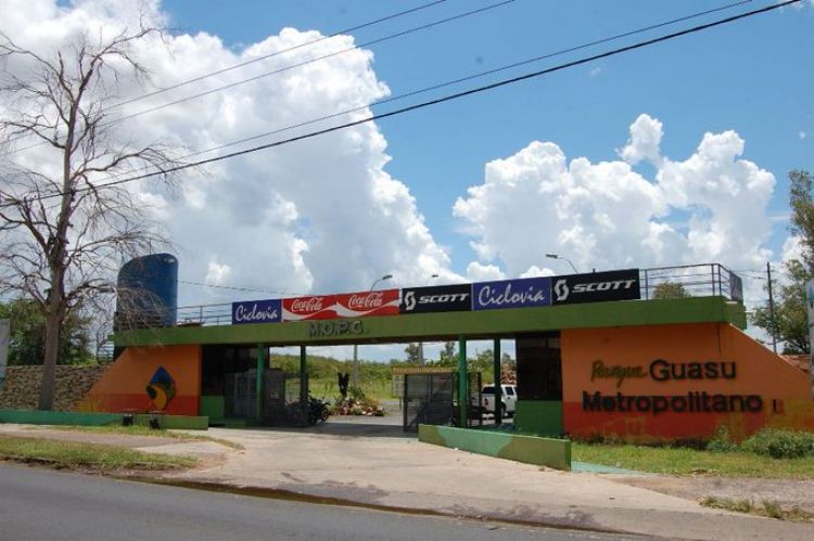 Desmienten que se talarán árboles en el Parque Guasu para la construcción de la universidad de Taiwán