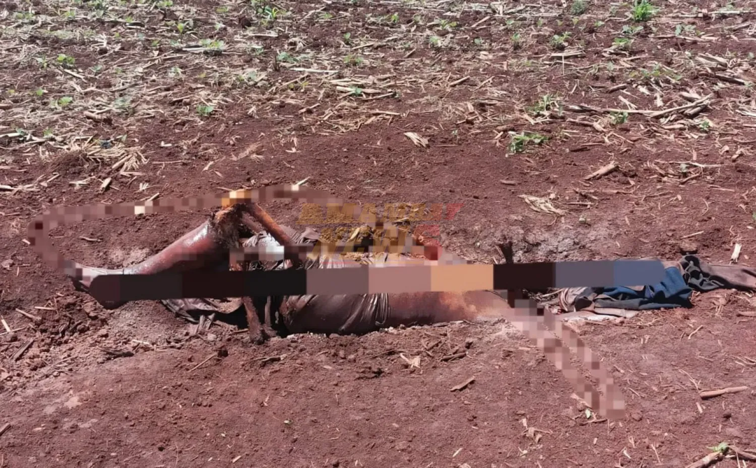 Reportan hallazgo de cadáver en Ponta Porã