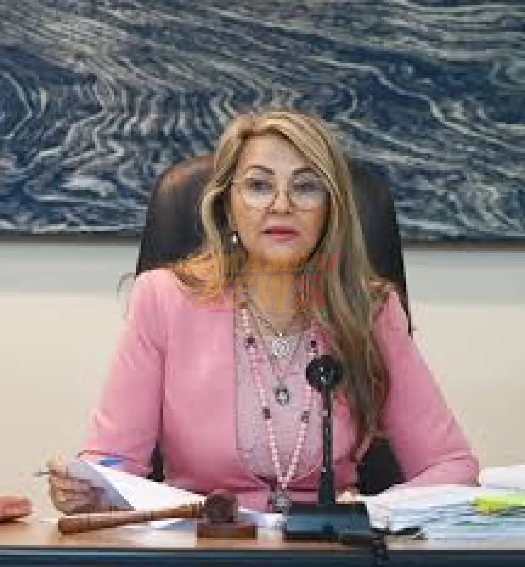 La jueza Lourdes Peña, en pleno desarrollo de su sentencia, pidió a los presentes en la Sala de Juicios que compren su libro