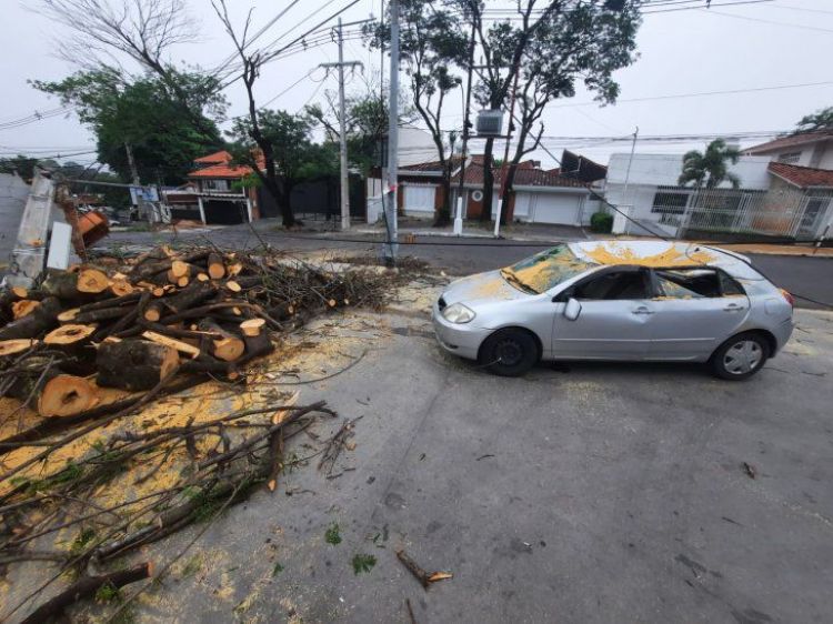 Temporal deja basura, árboles caídos y zonas sin energía en Asunción