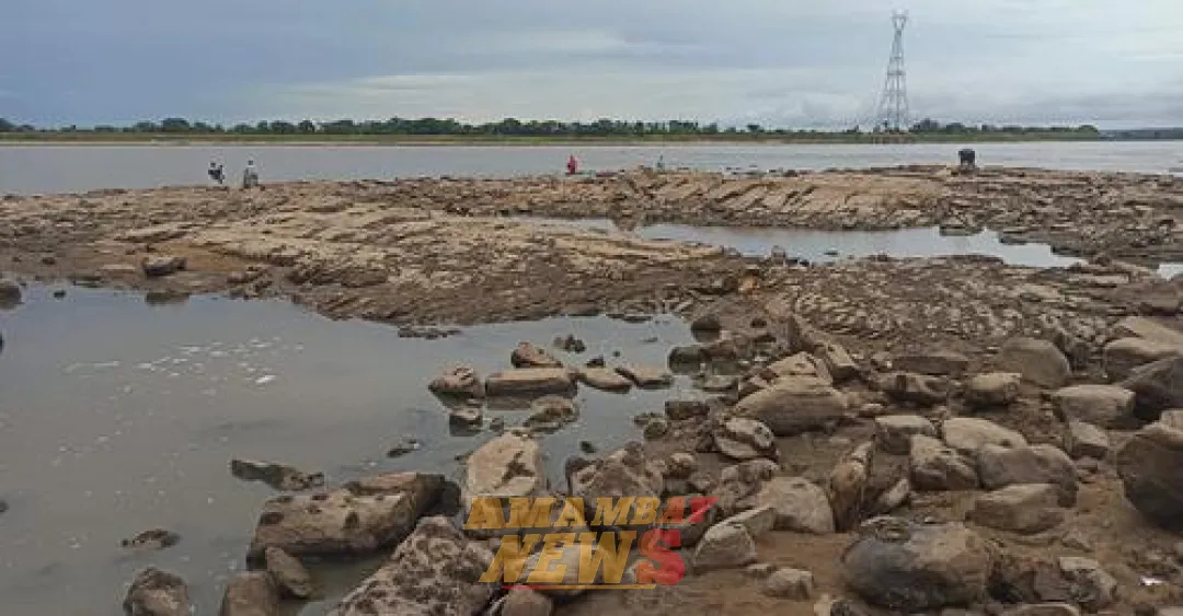 Preocupa el nivel crítico del río Paraguay y temen mortandad de peces