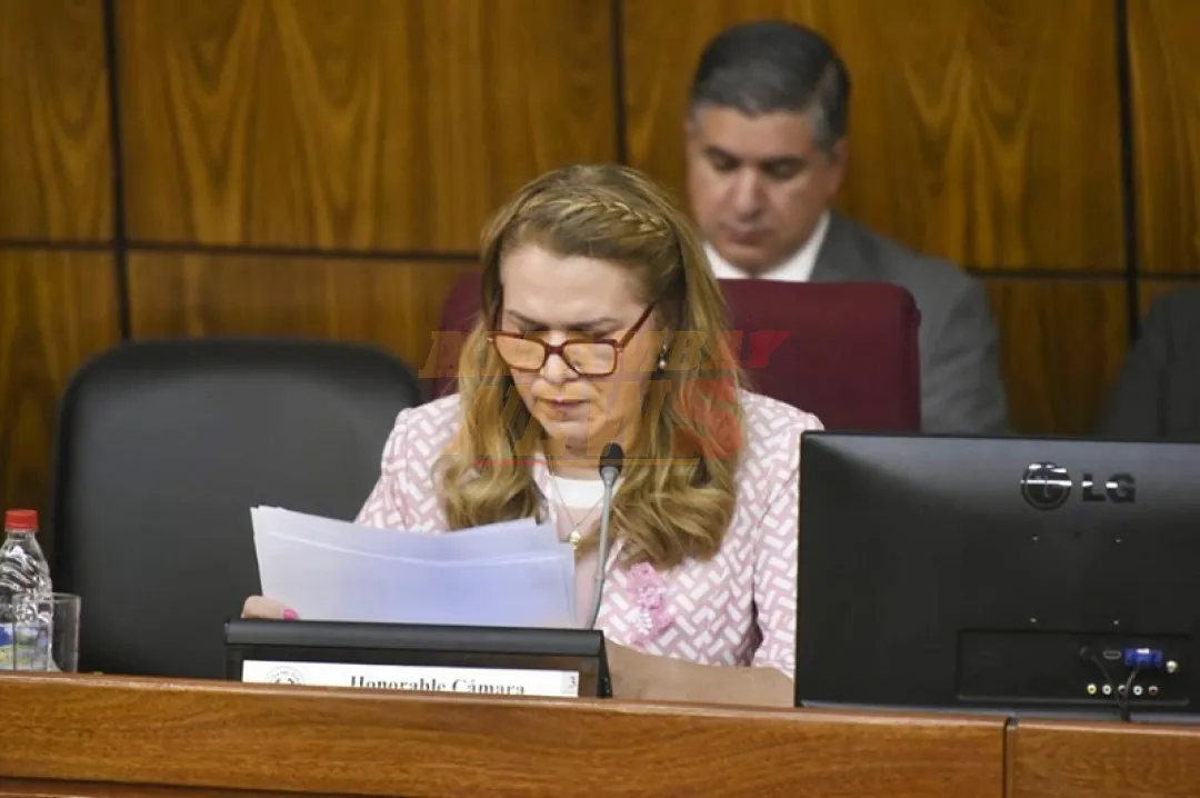 Interpelación a la ministra de Salud en agenda de Diputados este martes