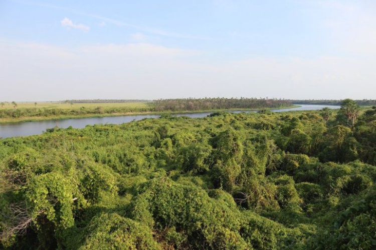 Naufragio de barco-hotel en río Paraguay, lado brasileño, deja 3 muertos y 4 desaparecidos