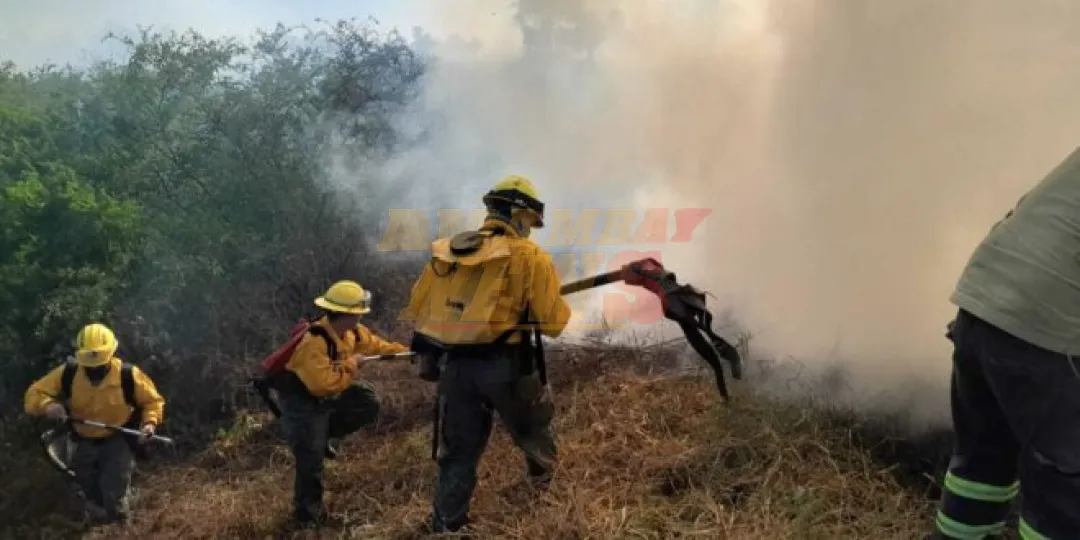 Nuevo informe del INFONA registra graves daños por incendios forestales