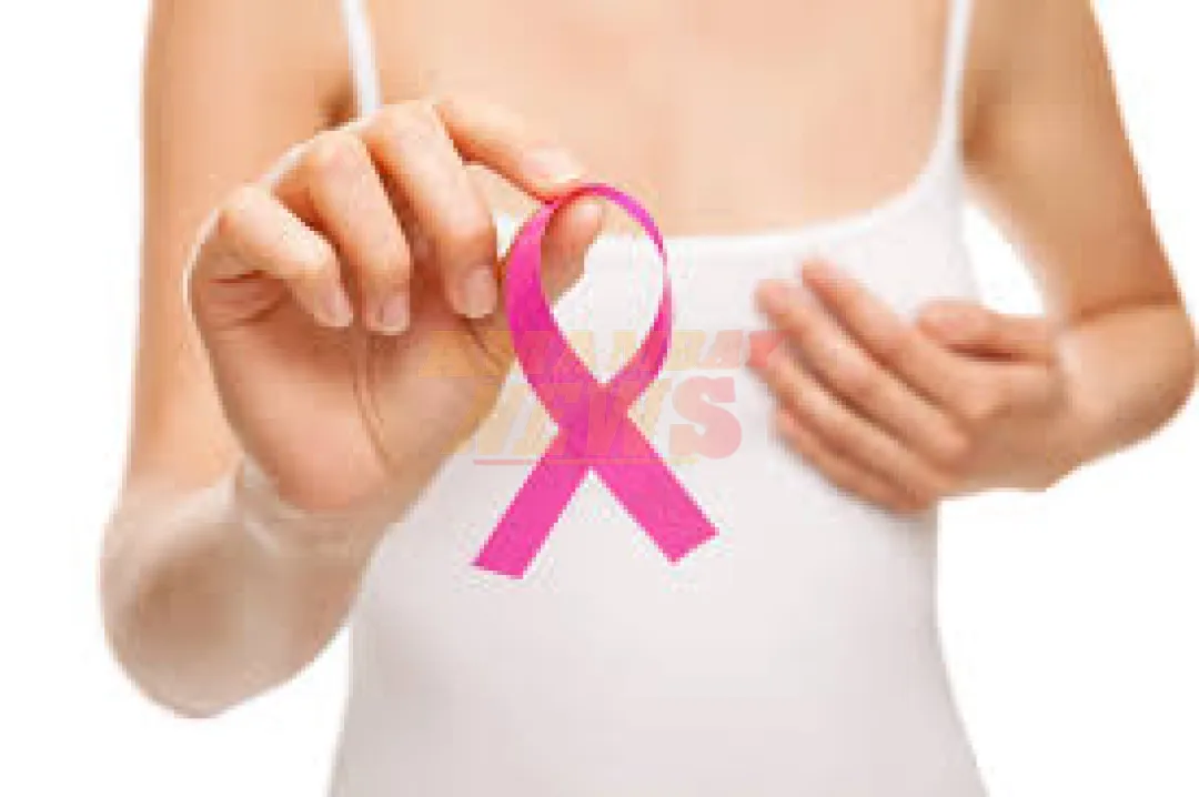 Hoy conmemoramos el día nacional de Lucha Contra el Cáncer de Mama