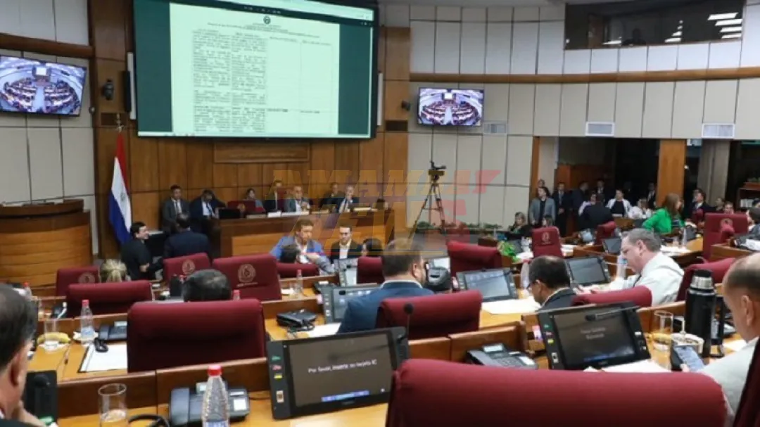 Senado denunciará ante el JEM a camaristas que anularon orden de captura de abogado «golpeador»