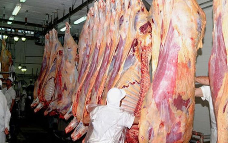 Estiman que en 60 días iniciaría la exportación de carne paraguaya a los EEUU
