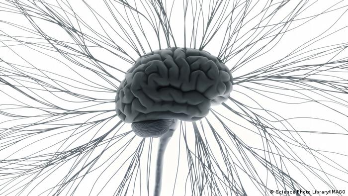 Científicos descubren una "conexión literal" entre cuerpo y mente en el cerebro