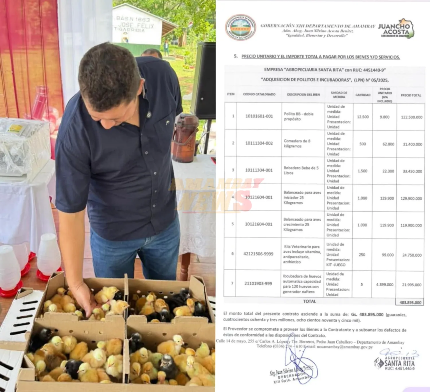 Pollitos de oro en Amambay: Juancho Acosta pagó 483 millones de guaraníes por animales