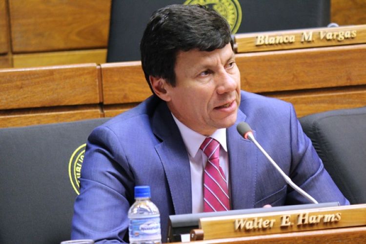 Diputado Walter Harms: «La Aduana es un antro de delincuentes»