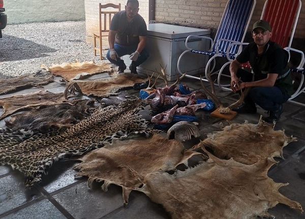 Mades interviene vivienda con especies en peligro de extinción.