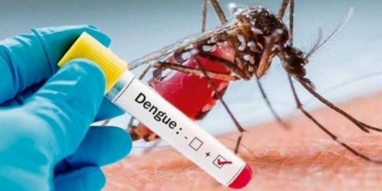 Registran 6 nuevos casos de dengue