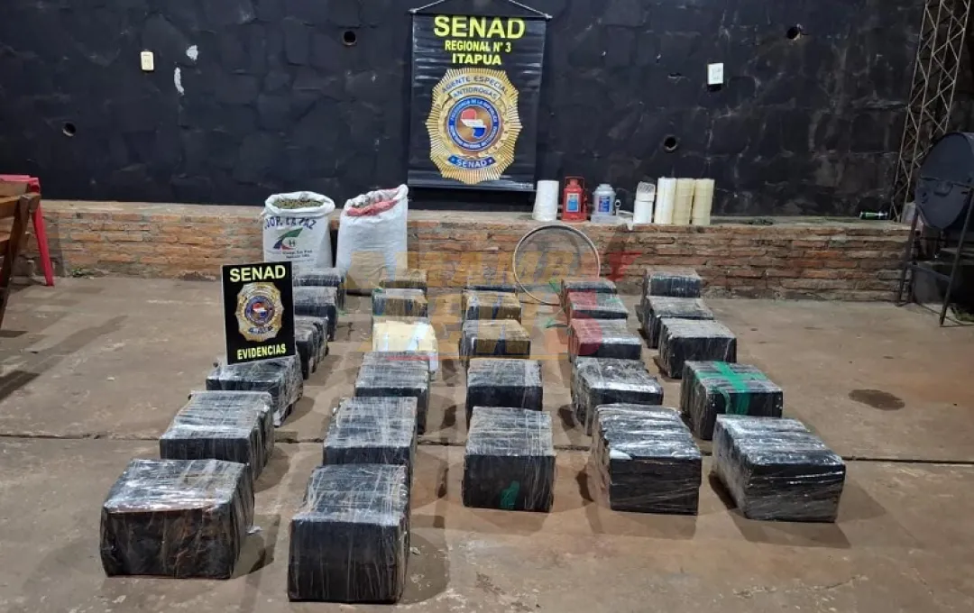 Incautan casi dos toneladas de marihuana y desarticula campamentos narcos en Parque Nacional