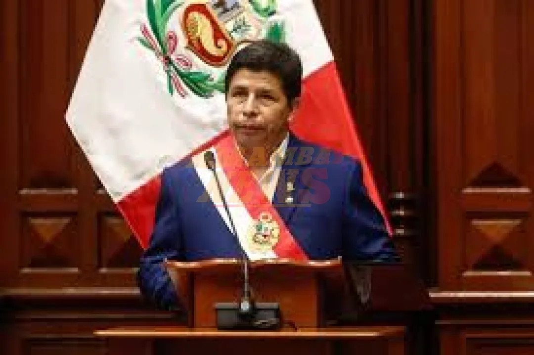 Perú: presentan denuncia constitucional contra Castillo