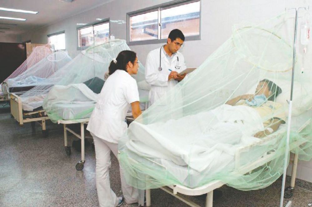 Plantean cinco años de cárcel para quienes no eliminan criaderos de mosquitos