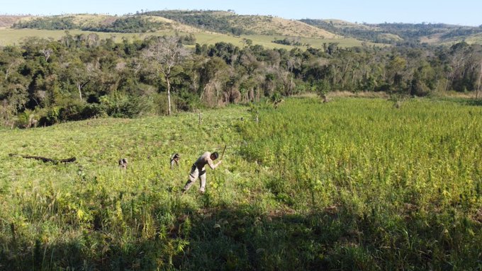 En marcha gran operativo contra el crimen organizado en zonas de Amambay y Concepción