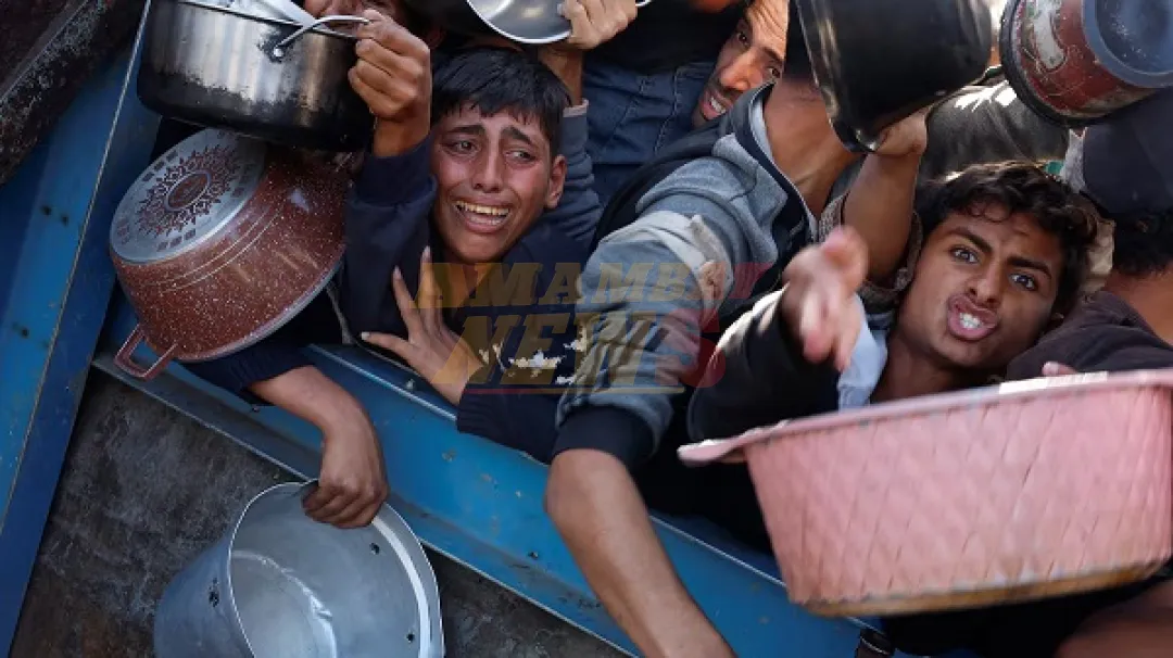 Amnistía Internacional acusa a Israel de genocidio en Gaza
