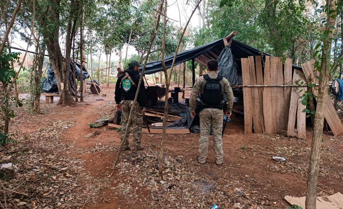 Atacan «nido» del narcotráfico en Parque Nacional Paso Bravo y desmantelan pistas clandestinas