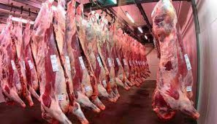 Nuevo récord en exportación de carne bovina