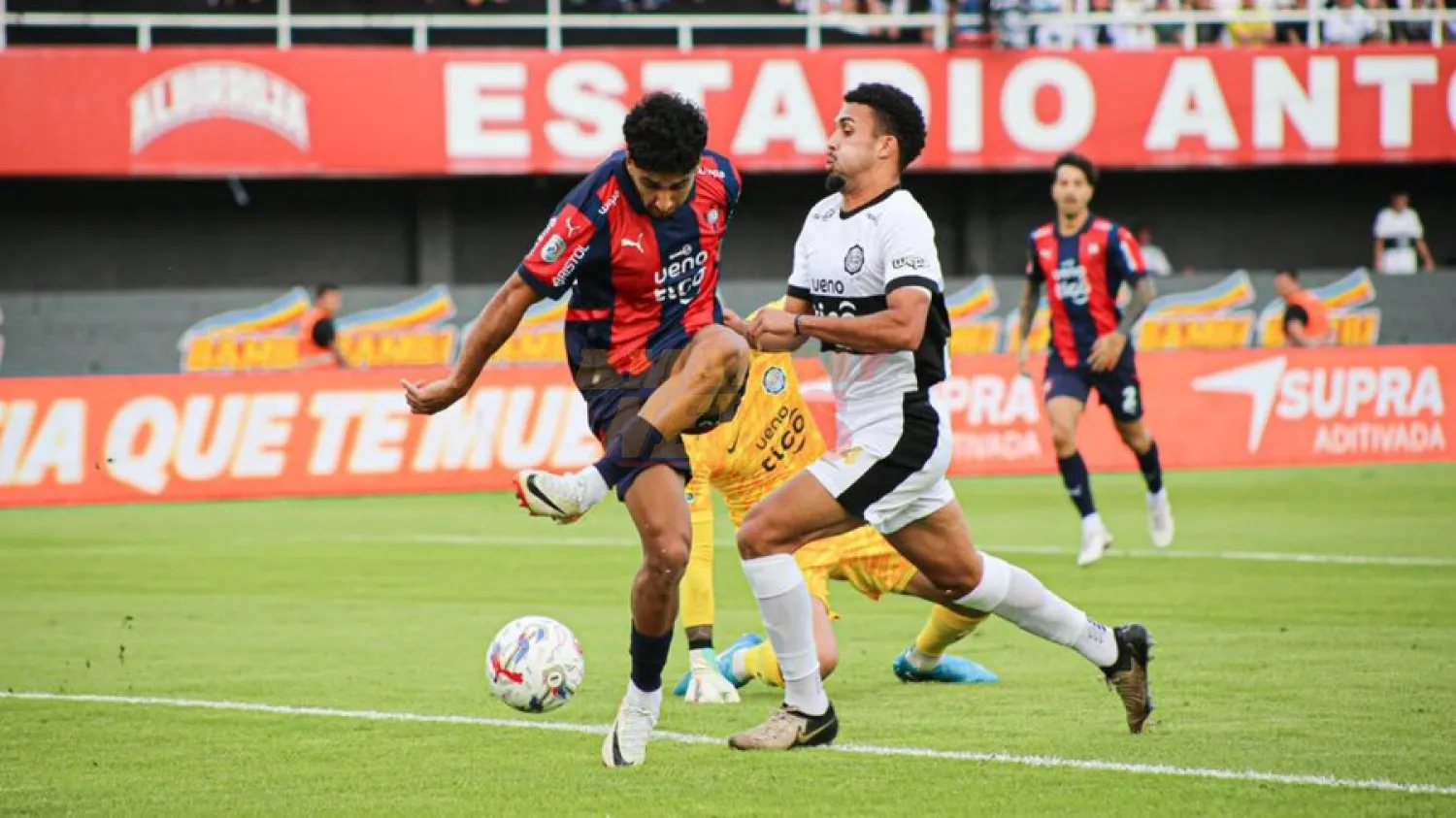 Cerro Porteño vs. Olimpia: A qué hora juegan y dónde ver en vivo