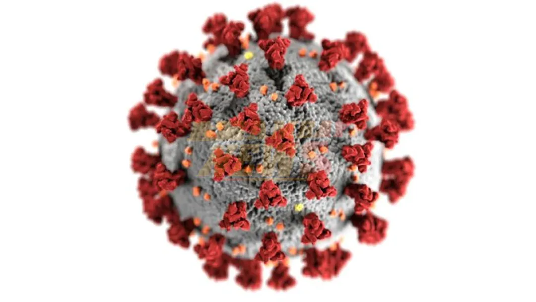 Metapneumovirus humano o HMPV: ¿Podría llegar al país? ¿cuáles son los recaudaos a tomar?
